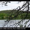 20076µ7ѧļѧУ FFSS